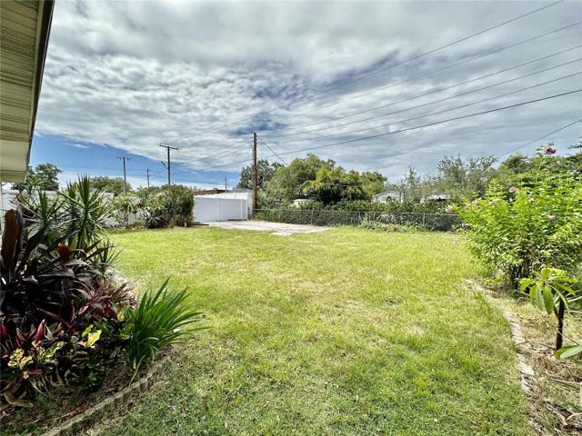 Back Yard