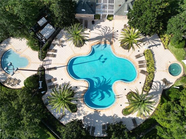 Gathering Loop Pool
