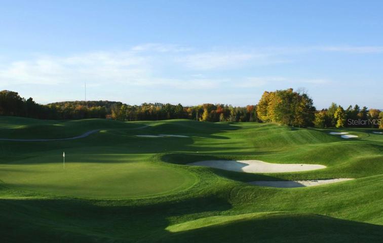 SEVERAL AREA GOLF COURSES.