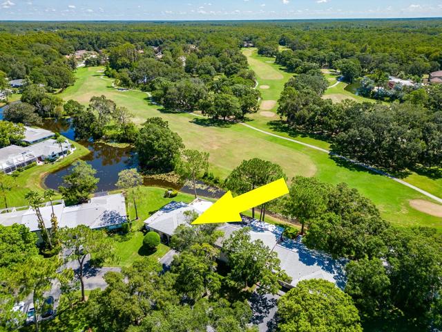 AERIAL VIEW OF POND AND GOLF COURSE
