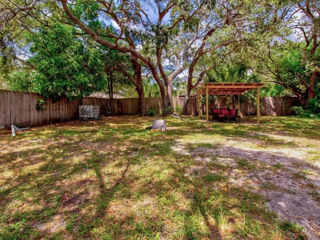 Back yard 2