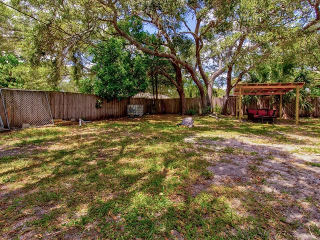 Back Yard 1