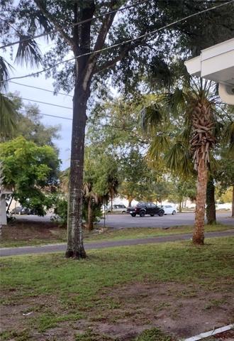 View of Backyard