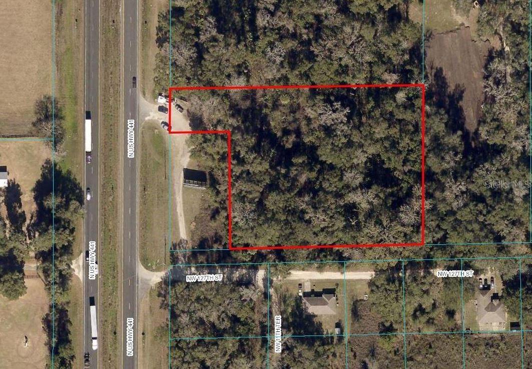 Citra, Florida 32113, 0 , 0 ,0,Land,For Sale,U.S. 301,0,OM663243
