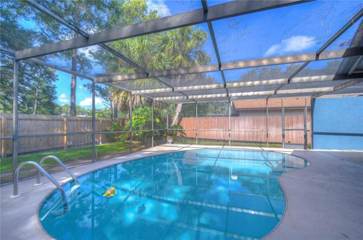 Newer pool equipment and resurfacing