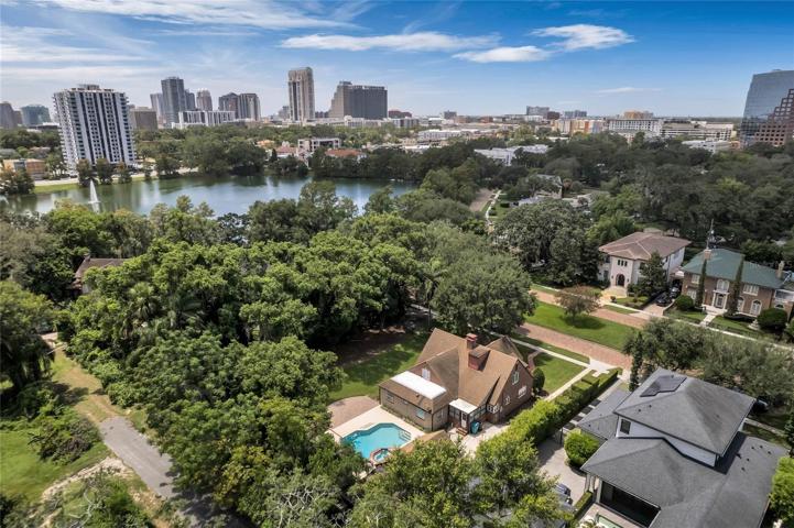 Park Lake Aerial