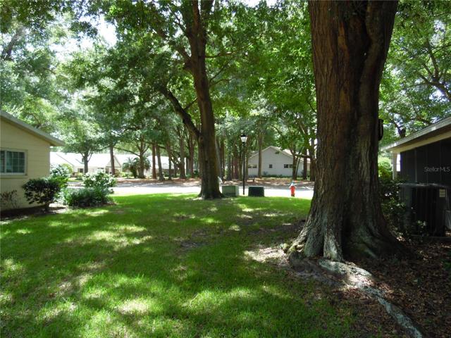 LARGE MATURE TREES