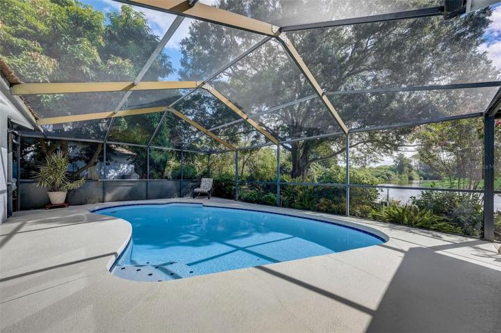 Sparkling pool overlooking the lake.