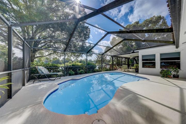 Relax poolside with views of the lake.  View from primary bedroom.
