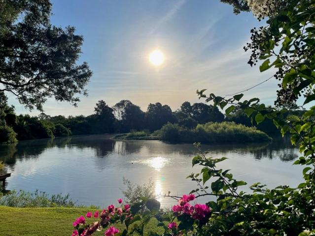 Waking up to a gorgeous sunrise glistening on the lake never gets old.