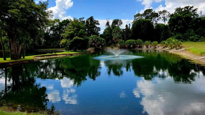 Enjoy the serenity of water.