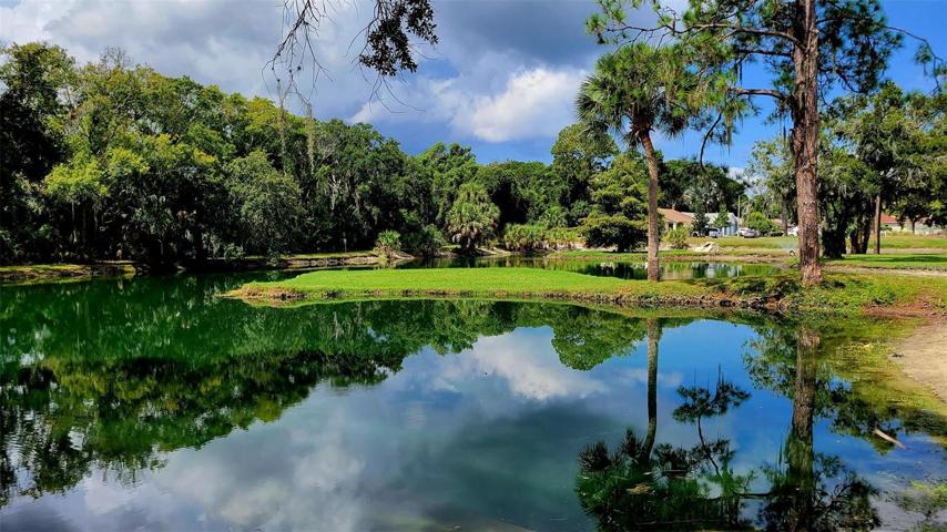 Walk around the pond from your villa.