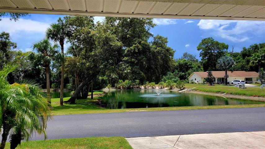 Pond views from living room window.