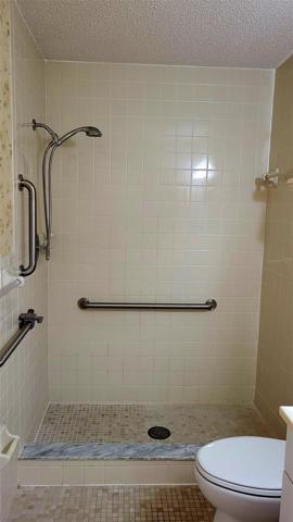 Master bath shower.