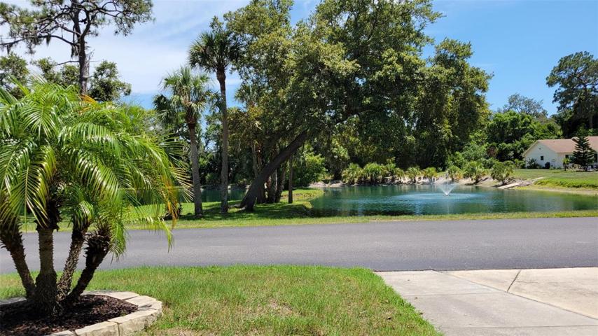 View of pond from front porch.