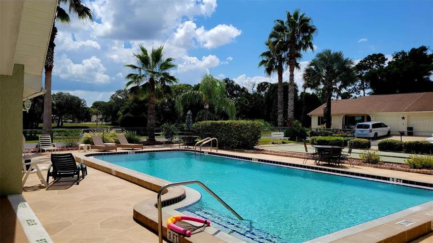 Pool with tropical views.