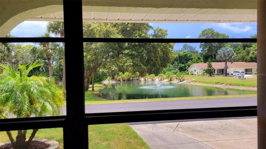 Living room window views of pond.