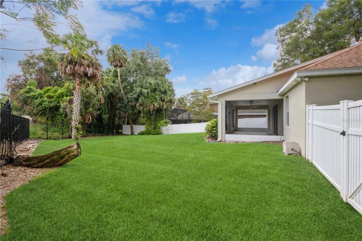 More of yard