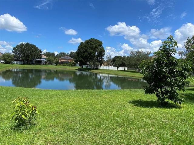 Backyard/Pond View