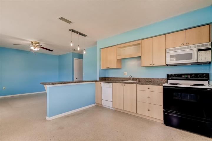 Unit 1 (East) 1BR 1BA - Kitchen with bar