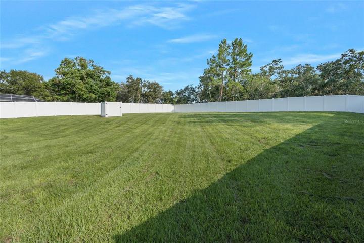 Rear Yard