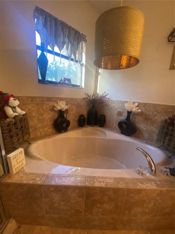 MASTER BATHROOM !