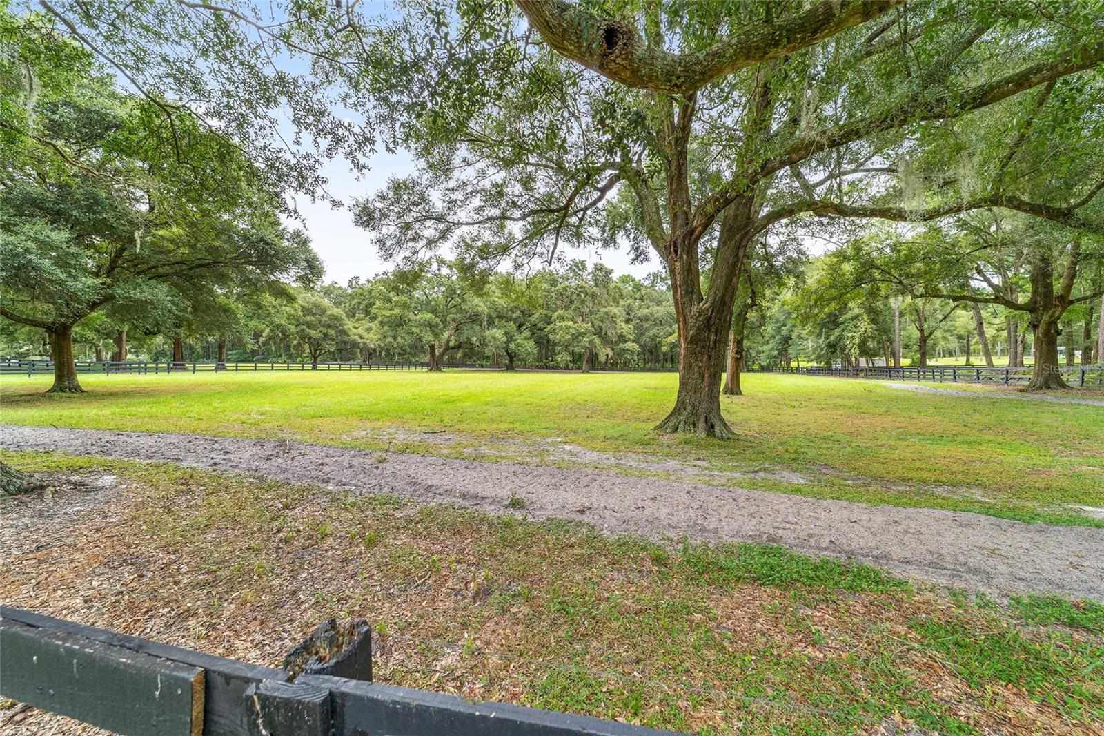 BACK PASTURE
