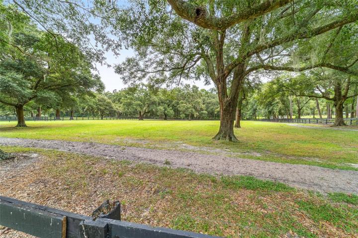BACK PASTURE
