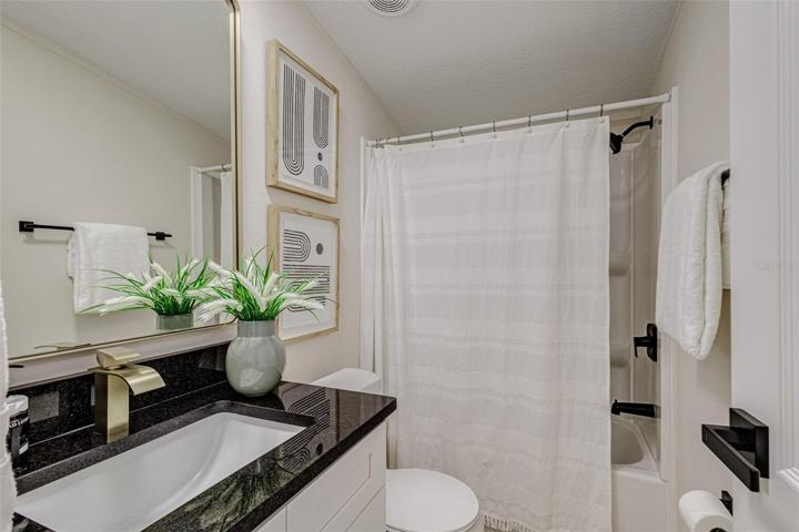 Guest Bathroom - Tub