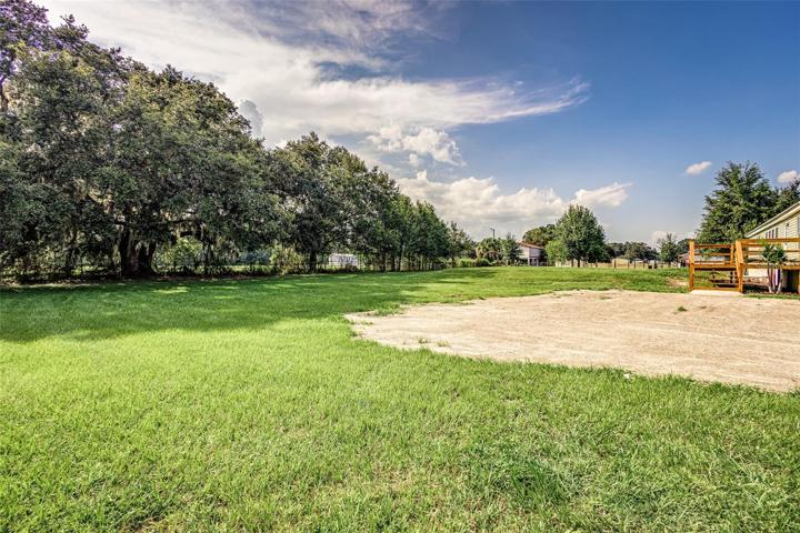 View of Backyard