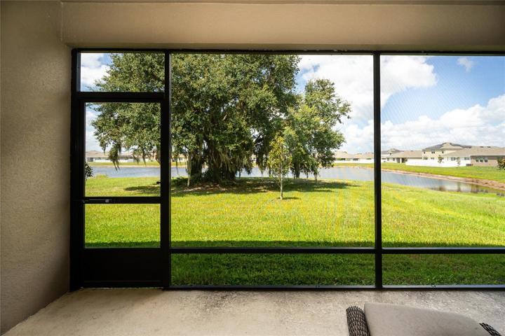 A view of the pond from your lanai!