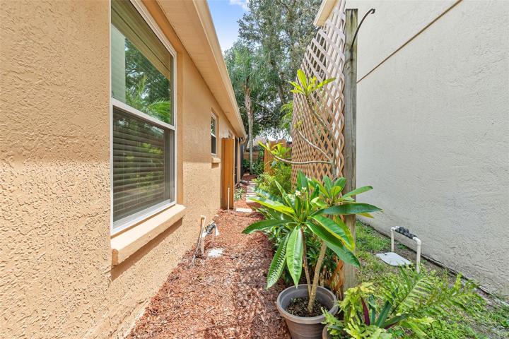 Side of house garden