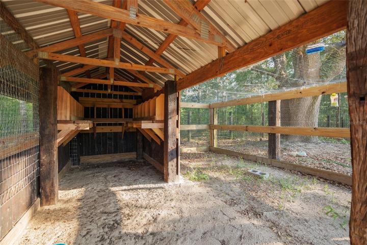 Large chicken coop