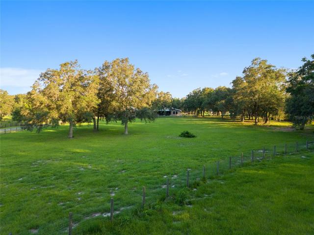 Fenced-in paddocks