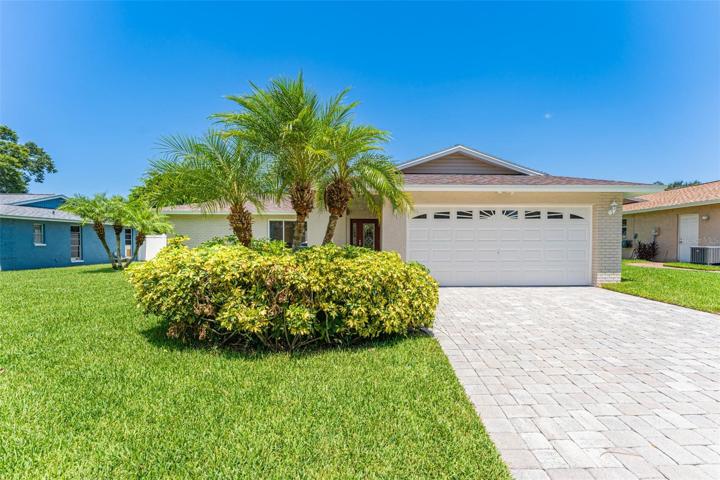 Welcome to Banyan Drive!