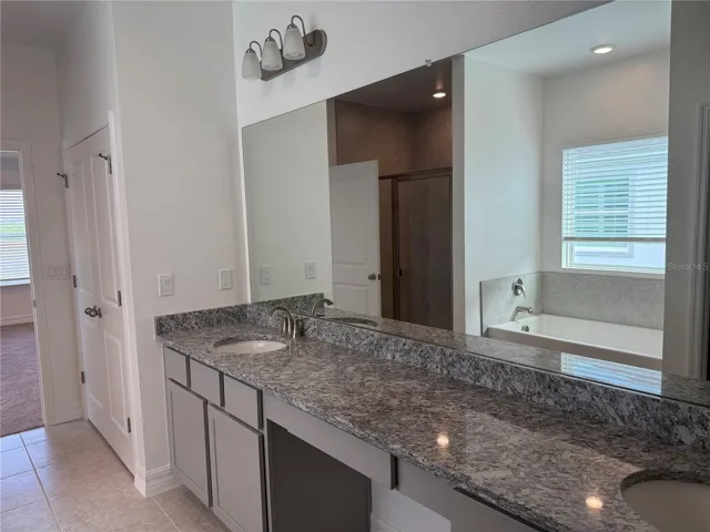 Primary Bathroom Vanity