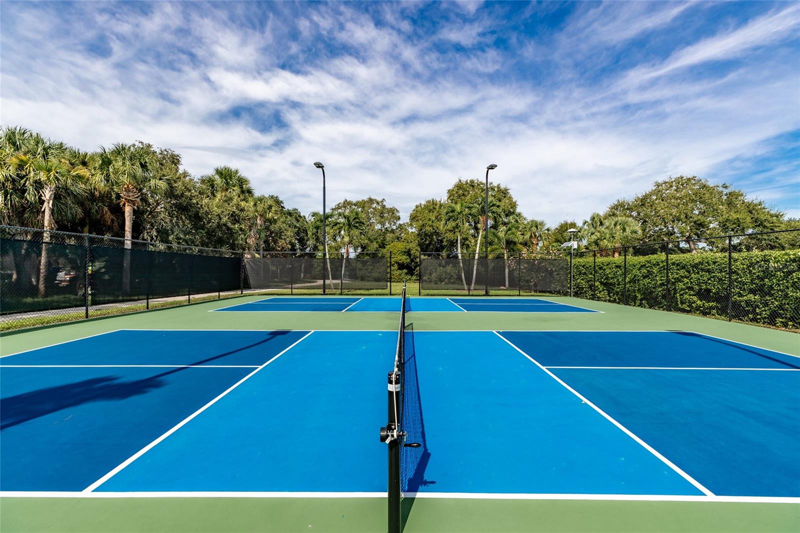 Pickle Ball Courts close up