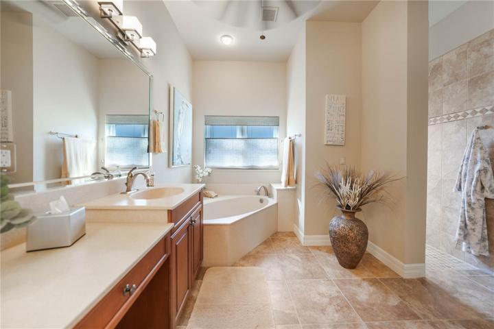 Master Bath Suite