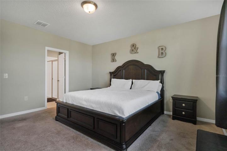 PRIMARY SUITE.