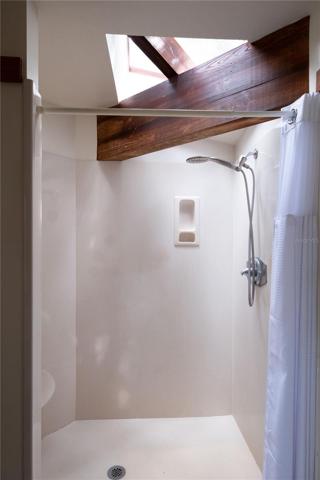 Shower Skylight feature
