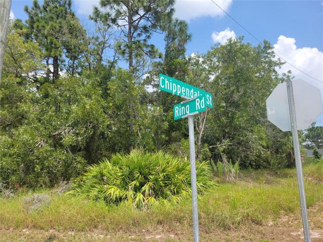 Corner of Ring and Chippendale