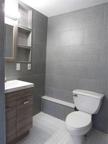 Studio Apartment/In-Law suite. Bathroom.