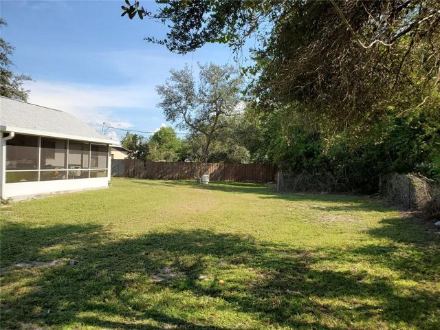 Back Yard