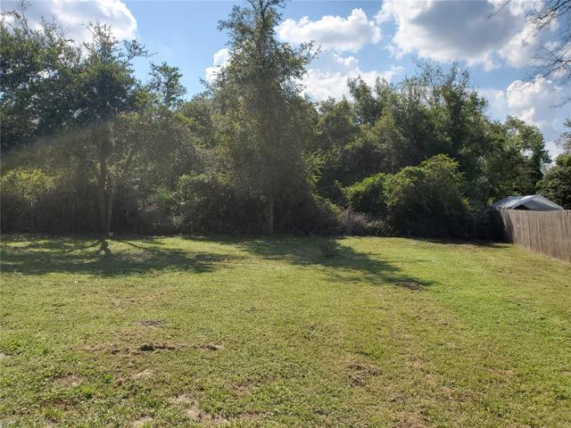 Back Yard