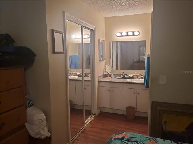 Master Bath Sink