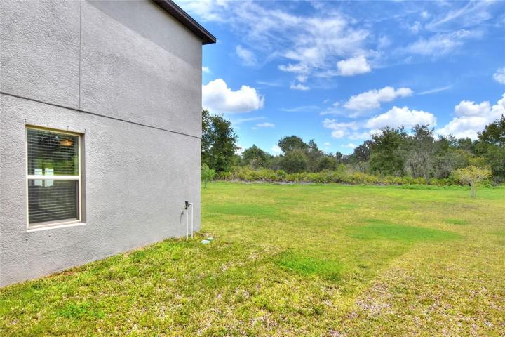 Side Yard