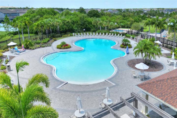 Aerial Community Pool