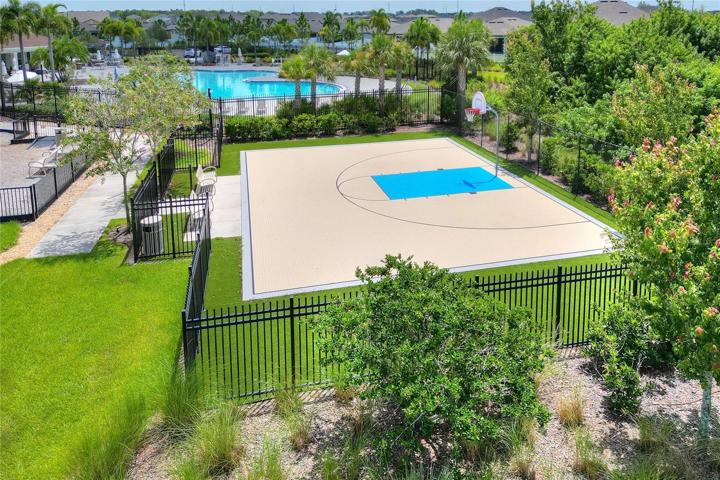 Basketball Court