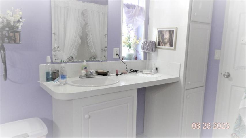 2nd Sink with linen closet /seperate shower
