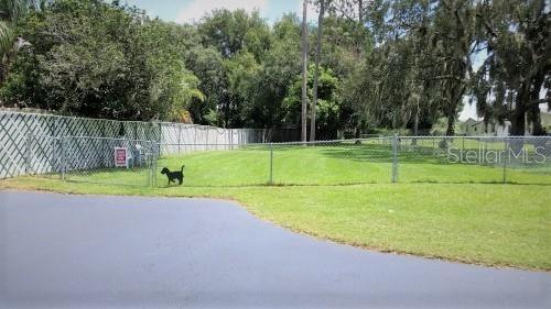 dog pet park